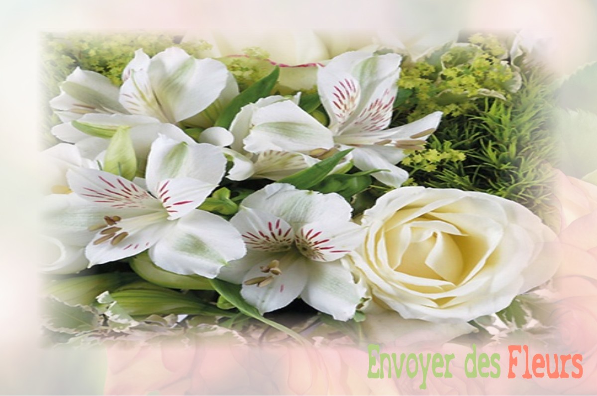 envoyer des fleurs à à VILLERS-LES-CAGNICOURT